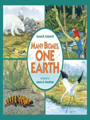 cover image of Many Biomes, One Earth